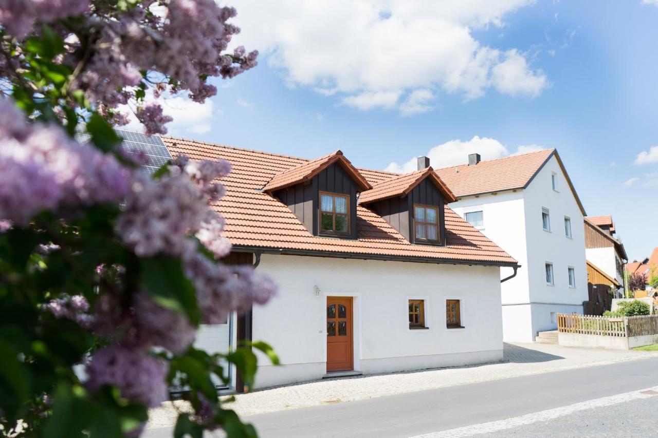 Ferienwohnungen Koehler Neualbenreuth Buitenkant foto